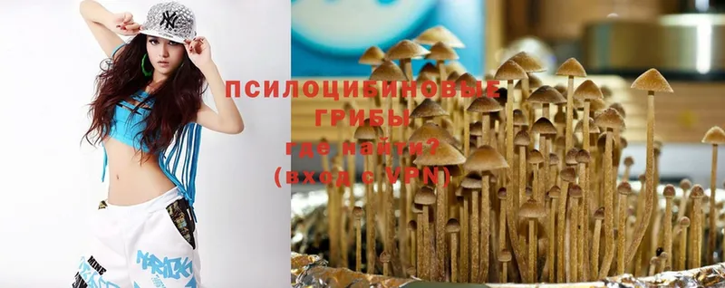 Псилоцибиновые грибы MAGIC MUSHROOMS  Камышлов 